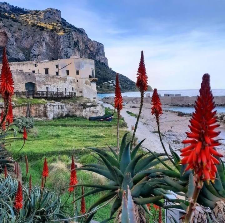 Bleu Bijou Apartment Palermo Zewnętrze zdjęcie